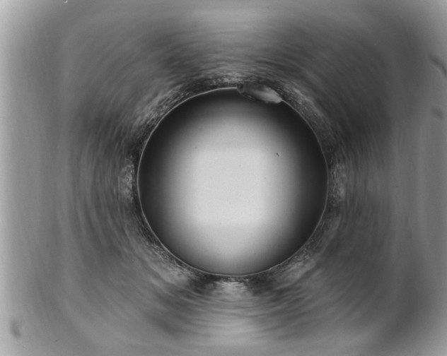 X0000100970509200807011423