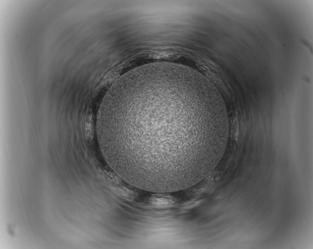 X0000100970510200807011423