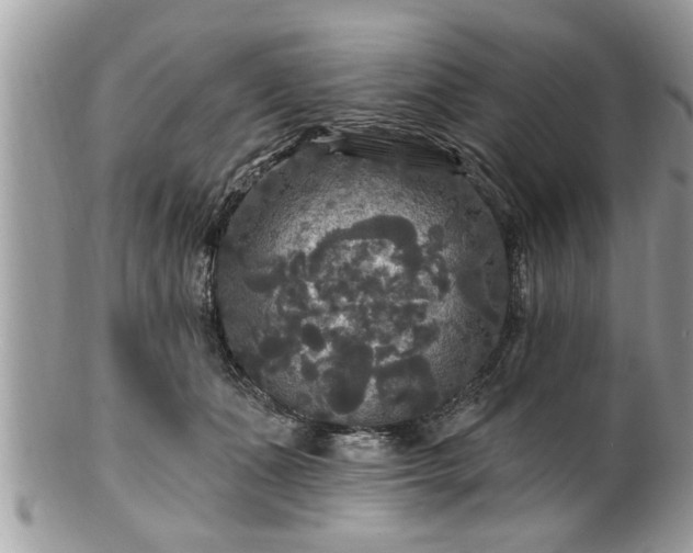 X0000100970511200807011423