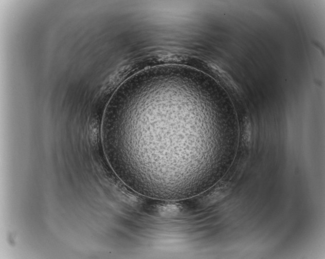 X0000100970513200807011423