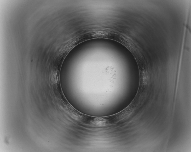 X0000100970514200807011423