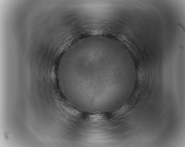X0000100970516200807011423