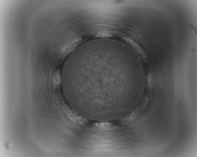 X0000100970517200807011423