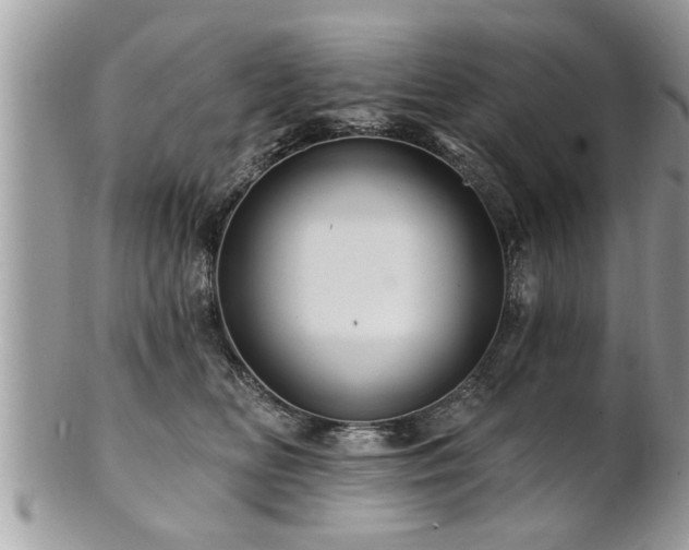 X0000100970518200807011423
