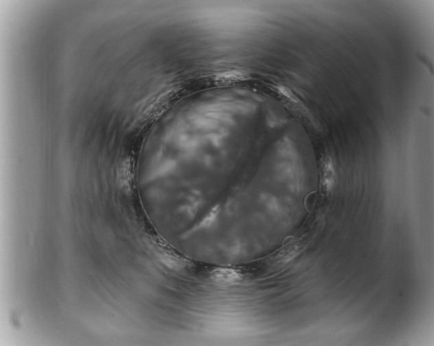 X0000100970519200807011423