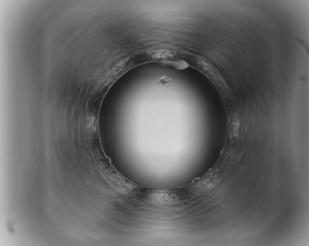X0000100970521200807011423