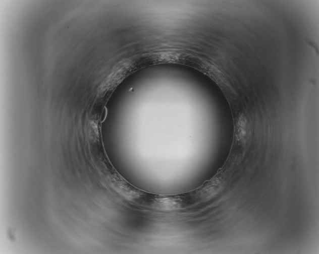 X0000100970522200807011423