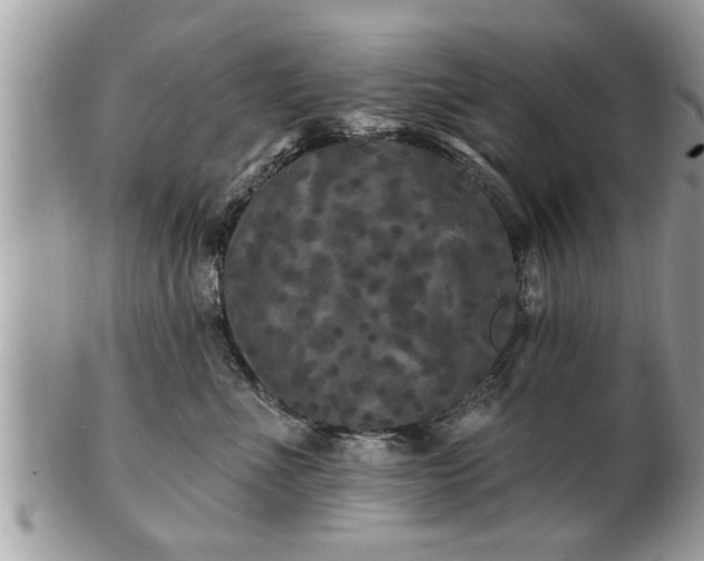 X0000100970523200807011423