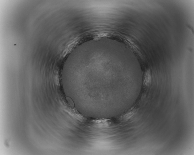 X0000100970524200807011423