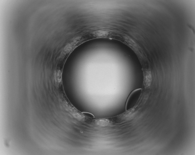 X0000100970525200807011423