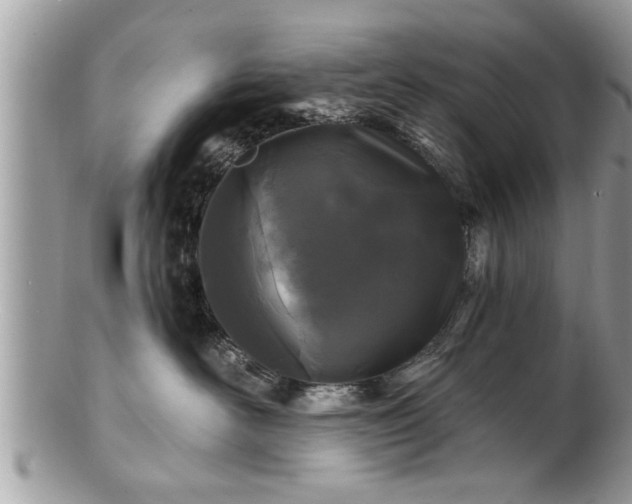 X0000100970526200807011423