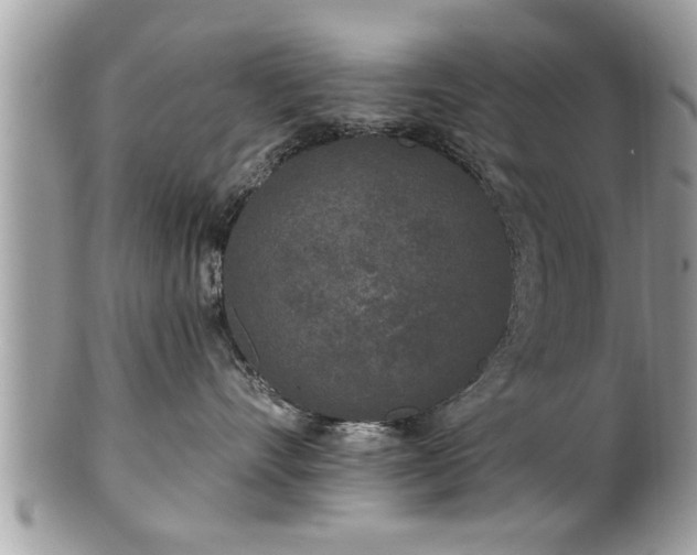 X0000100970528200807011423