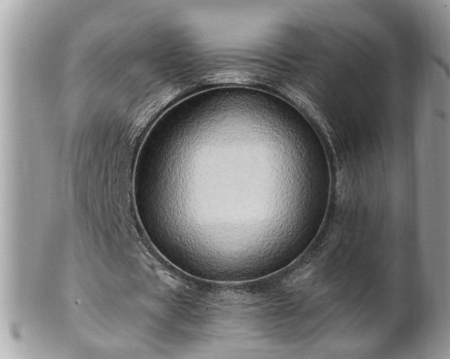 X0000100970529200807011422