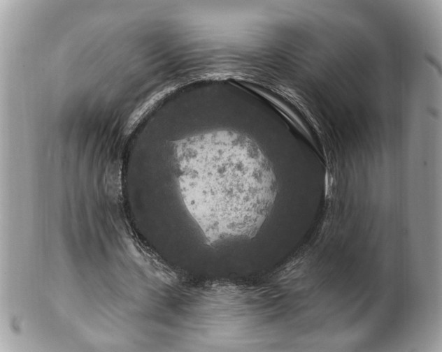 X0000100970531200807011423