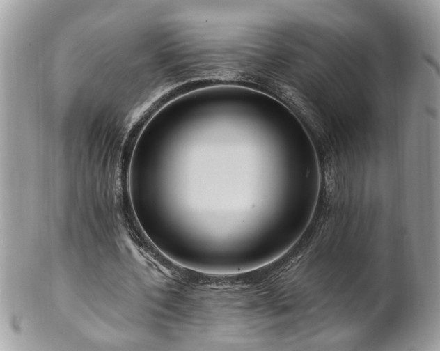 X0000100970532200807011423