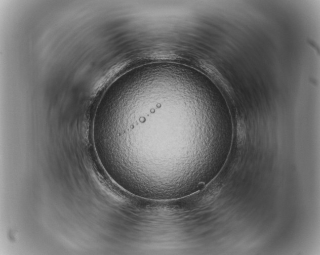 X0000100970533200807011423