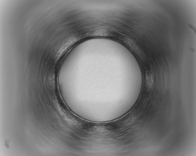 X0000100970534200807011423