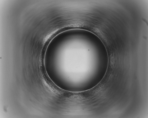 X0000100970536200807011423