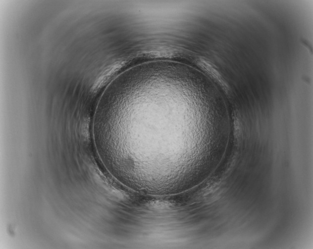 X0000100970537200807011423