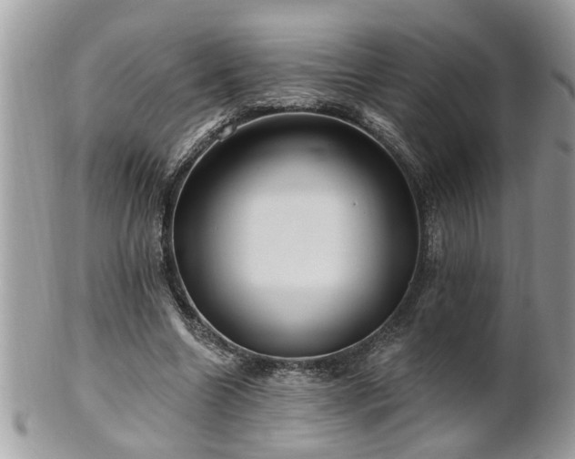 X0000100970538200807011423