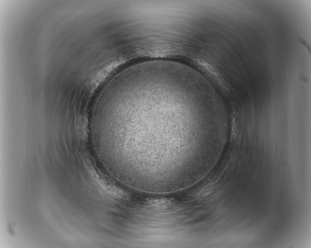 X0000100970540200807011423