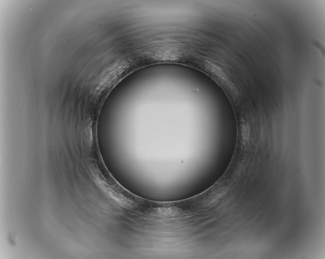 X0000100970541200807011423