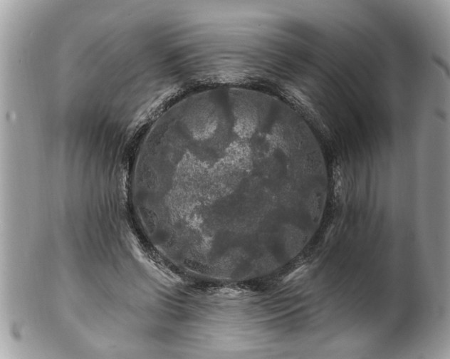 X0000100970542200807011423