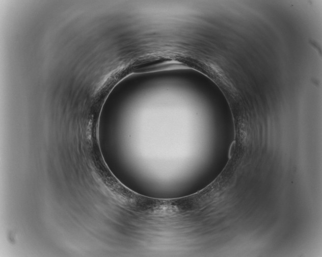 X0000100970543200807011423