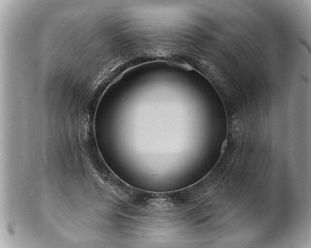 X0000100970544200807011423