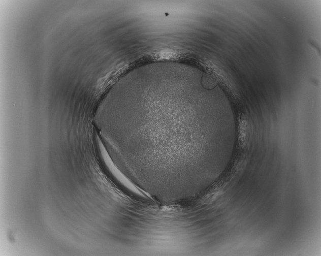 X0000100970545200807011423
