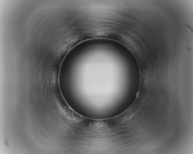 X0000100970546200807011423
