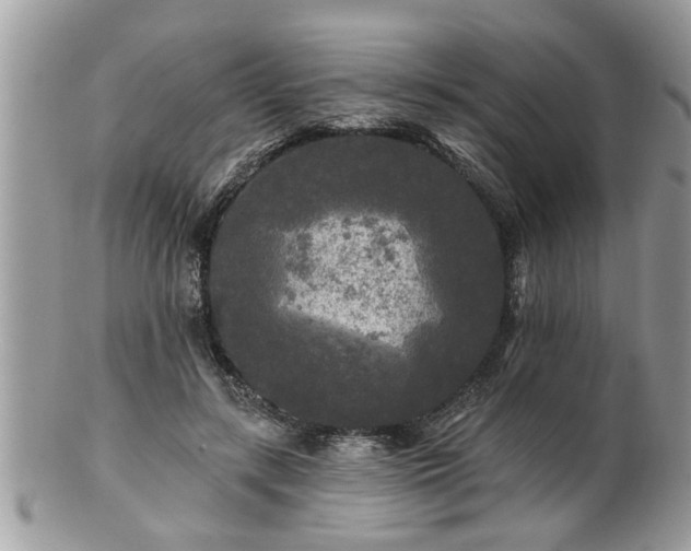 X0000100970547200807011423