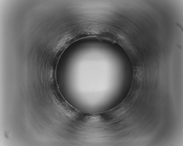 X0000100970548200807011423