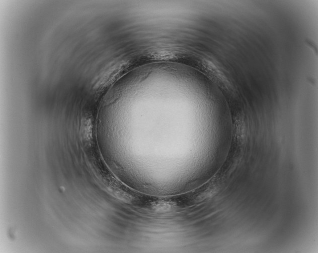 X0000100970549200807011423