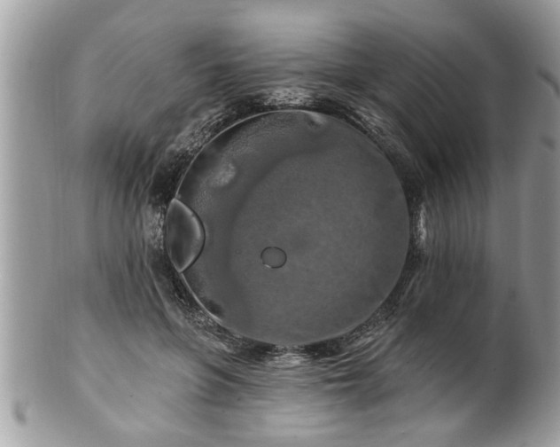 X0000100970551200807011423
