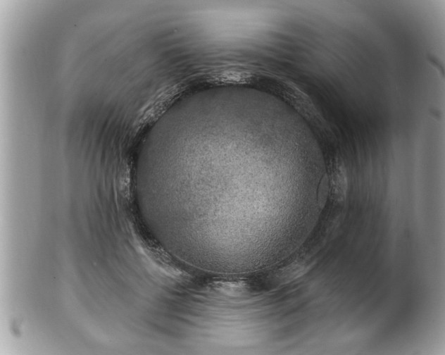 X0000100970552200807011423