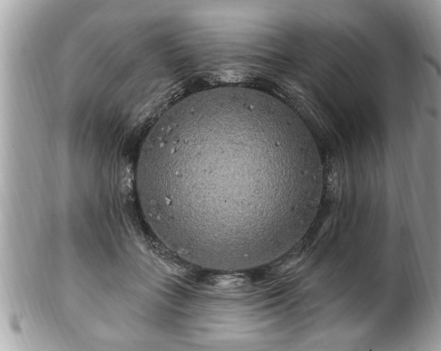 X0000100970555200807011423