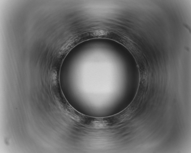 X0000100970556200807011423
