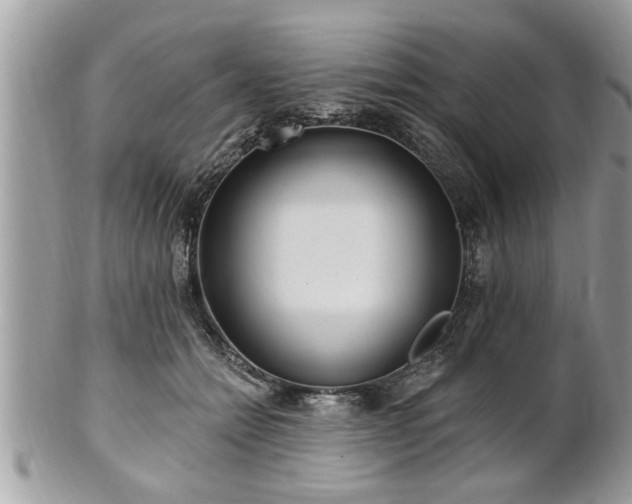 X0000100970558200807011423