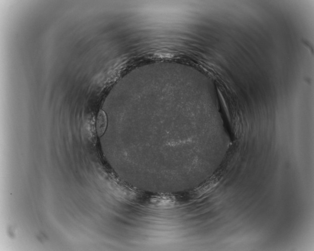 X0000100970559200807011423
