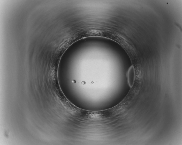 X0000100970560200807011423