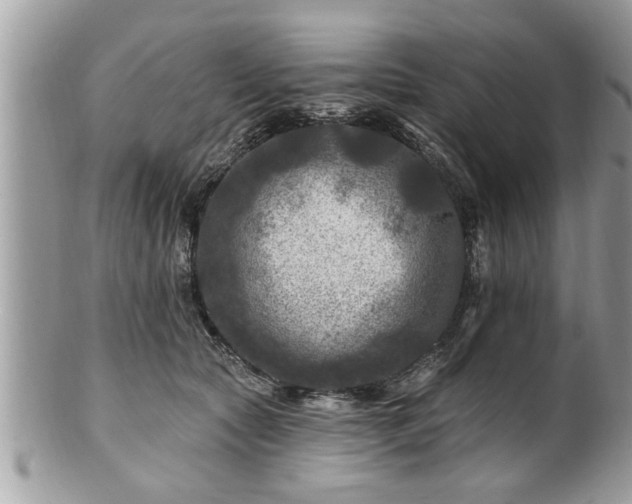X0000100970561200807011423