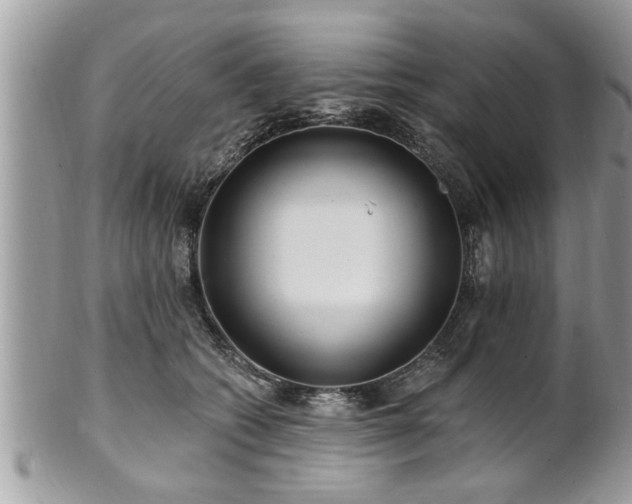 X0000100970562200807011423