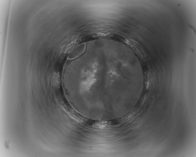 X0000100970563200807011423