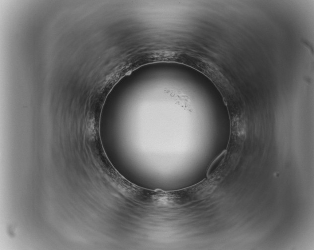 X0000100970564200807011423