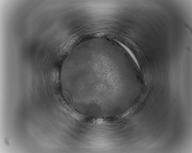 X0000100970565200807011423