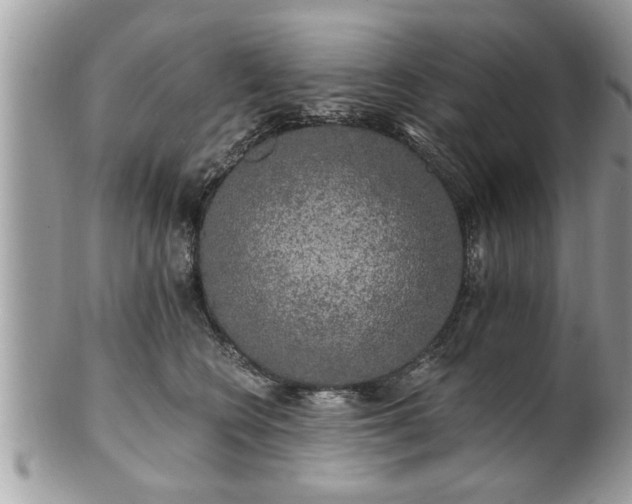 X0000100970566200807011423