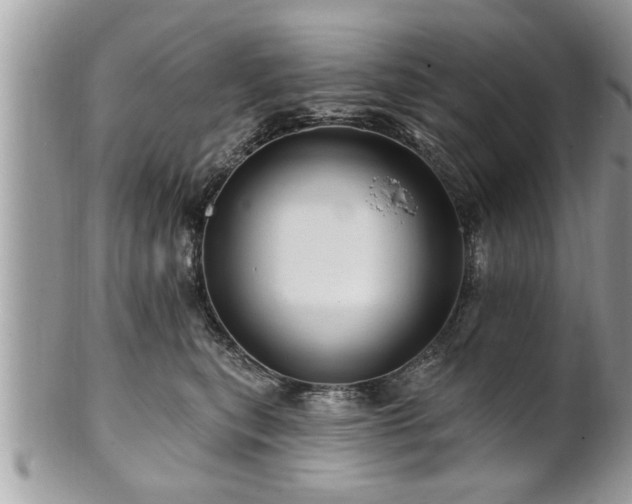 X0000100970567200807011423