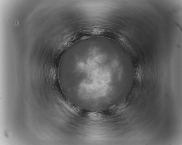 X0000100970568200807011423