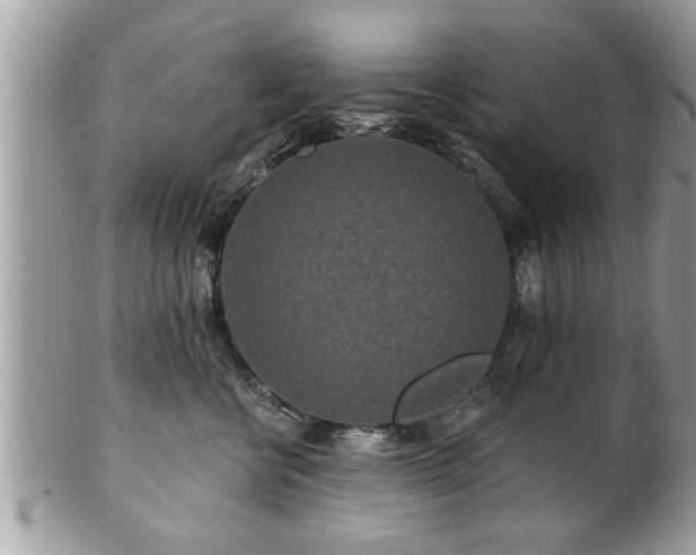 X0000100970570200807011423